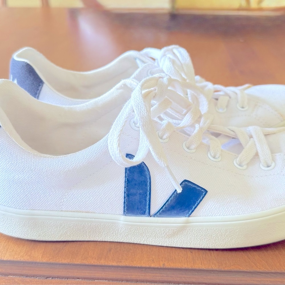 Veja White and Blue Men's Sneakers